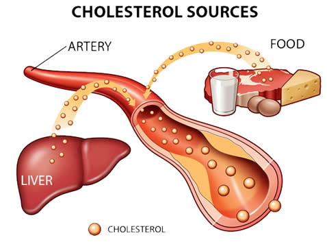 sumber_kolesterol